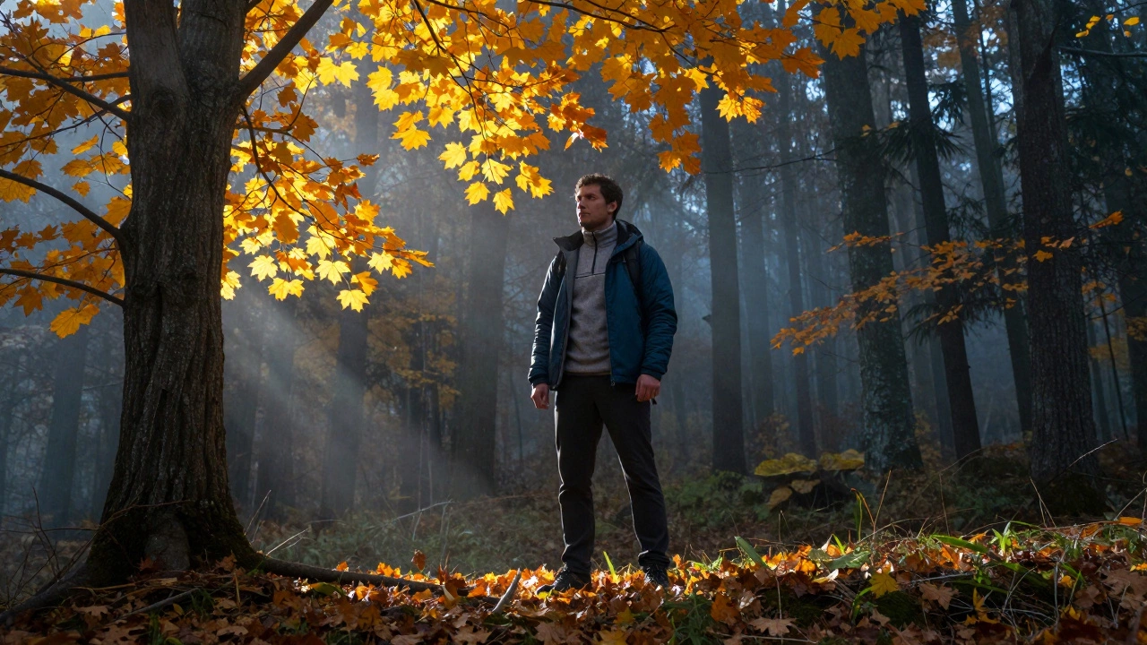 Что взять в поход осенью: гид по одежде и снаряжению для мужчин